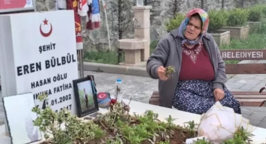 'Terör örgütünün silah bırakacağına inanmıyorum'