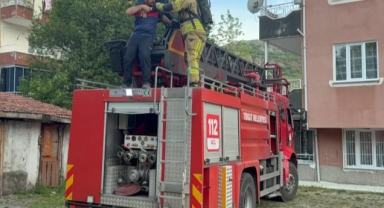 Fareleri kaçırmak için yaptıkları plan tüm mahalleyi zehirliyordu