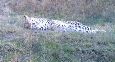 Görüntüleri Bakan Yumaklı paylaştı