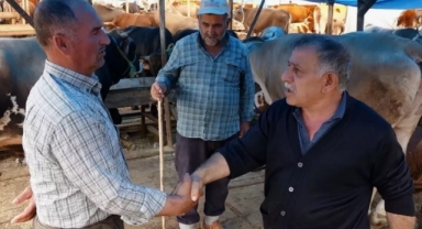 İşte kurban fiyatlarının en uygun olduğu 7 ilimiz