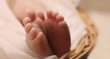 Kenenin ısırdığı bebek hayatını kaybetti