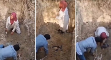 Ölen köpeklerin mezarlarını açmaya kalktılar