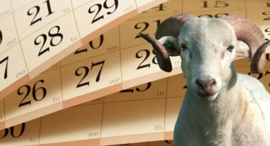 Kurban Bayramı tatili uzatılmadı