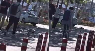 Robot Köpekleri Tasmayla Gezdirdiler