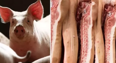 Türkiye'de en çok domuz etinin satıldığı 6 ilimiz