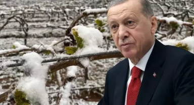 Ürünlerin isimlerini tek tek saydı 