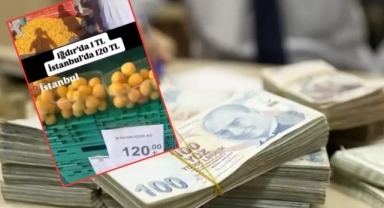 CHP'li ismin 'kayısı' yalanı pahalıya patladı