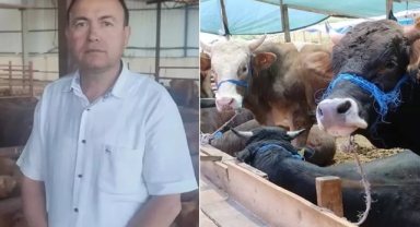 Dana iş insanını öldürdü