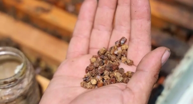  Geçmişte çöpe gidiyordu