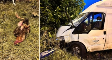 Horoza kalp masajı yaptı