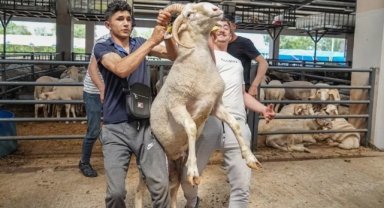 Pazarın gözdesi oldu