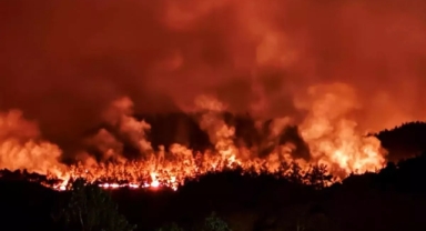 Sakarya'daki orman yangını Bilecik'e sıçradı