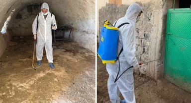  Şırnak'ta şap hastalığı tespit edildi