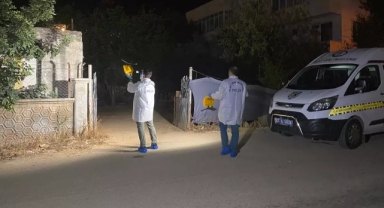 Tavuklarına bakarken yorgun mermiyle yaralandı 