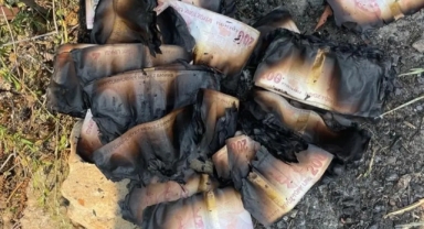 Tüm birikimi yandı 