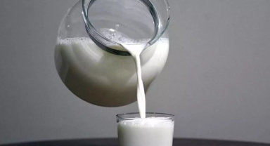 4 süt şirketine 58,3 milyon lira ceza