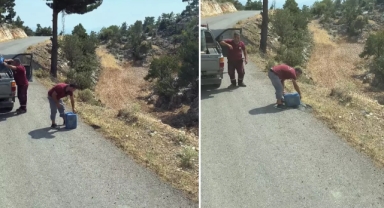 Ciğerlerimizi yakan yangınlar işte böyle çıkıyor