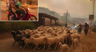İzmir'deki yangınlar 3 noktada sürüyor