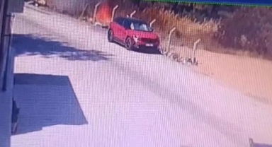 Orman yangınının çıkış anı görüntüsü ortaya çıktı