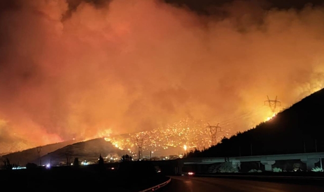 SON DAKİKA | Bursa'daki Orman Yangınıyla İlgili 4 Kişi Gözaltına Alındı