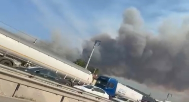 Son Dakika : Sakarya’da Orman Yangını Alarmı