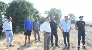 Altıeylül'de Kırsal Alanda Çıkan Orman Yangını Ekiplerin Hızlı Müdahalesiyle Kontrol Altına Alındı