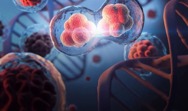 Bilim İnsanları Hücrelerde “Akıllı Yara Yönetim Merkezi” Keşfetti