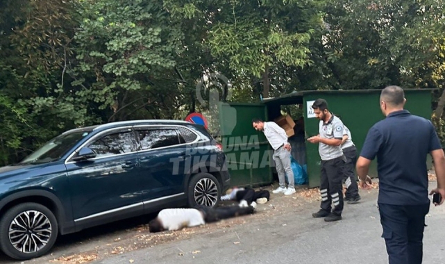 Boğaziçi Üniversitesi Kampüsünde Silahlı Saldırı: 1 Kişi Hayatını Kaybetti