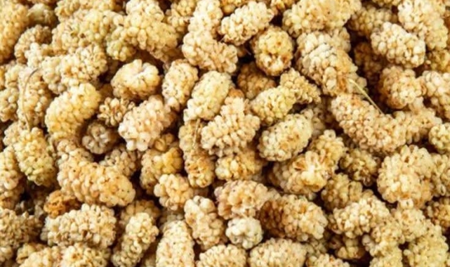 Dut Kurusu Çayı: Sağlığa Katkılarıyla Dikkat Çekiyor