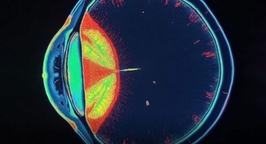 Körlüğe Umut: Koreli Bilim İnsanları Hasar Görmüş Retina Sinirlerini Yenileyerek Görüşü Geri Kazandırdı