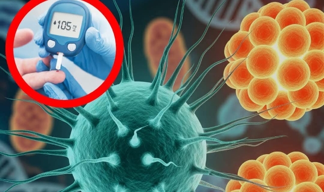 Tip 1 Diyabeti Tersine Çevirebilecek Çığır Açan Tedavi Geliştirildi