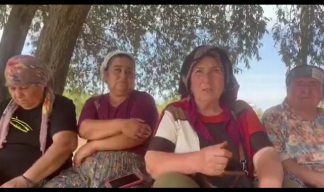 Akbelen’de Gözaltılar: Köylüler Milas Jandarma Karakolu Önünde “Zeytinlerimizi Söktürmeyiz” Diye Sesleniyor