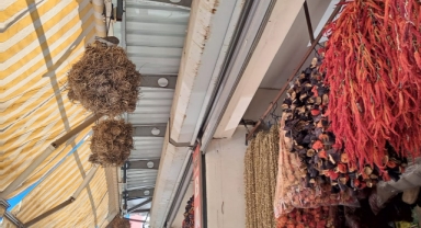 İzmir'de Kumruların Yaşam Savaşı: Bir Toptancının Duyarlılığı Örnek Oldu