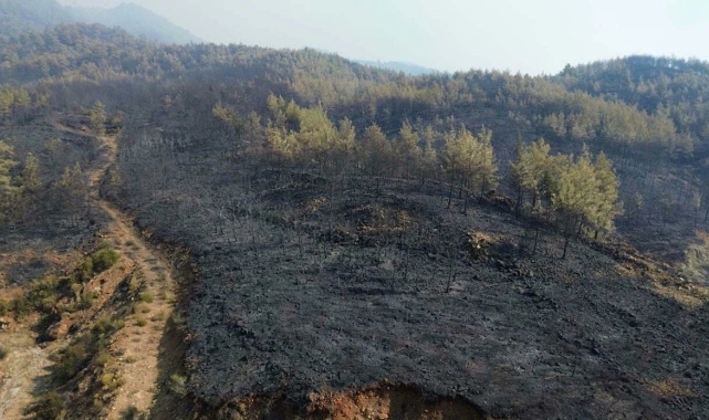 Muğla Köyceğiz’deki Orman Yangını 63 Saat Sonra Kontrol Altına Alındı — Yaklaşık 3 Bin Hektar Alan Etkilendi