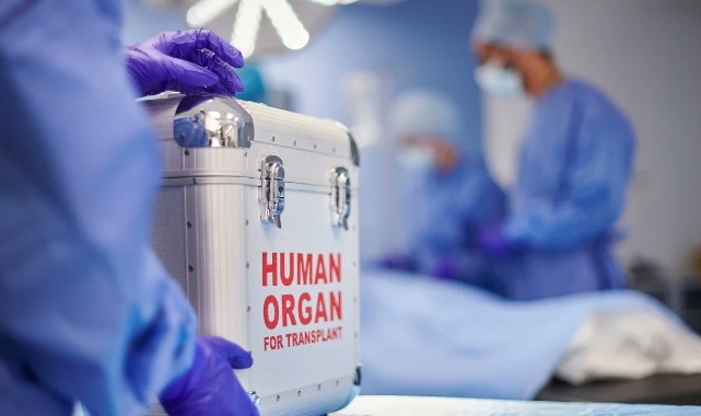 Organ Bağışında Dijital Dönem Başladı — e-Devlet ve e-Nabız Üzerinden Beyan Verilebilecek, Ailelere Nakilde Öncelik Hakkı