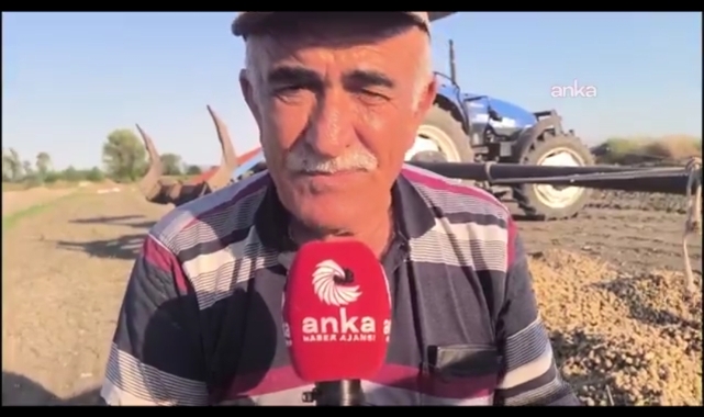 Osmaniyeli Fıstık Üreticisinden Mazot Tepkisi: “1 Kilo Fıstıkla Önce 4 Litre Alıyorduk, Şimdi 1 Litreyi Bile Göremiyoruz”