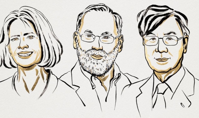 2025 Nobel Tıp Ödülü “Periferik Bağışıklık Toleransı” Keşfiyle Brunkow, Ramsdell ve Sakaguchi’nin