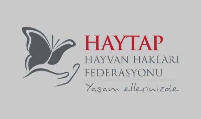 Hayvan Hakları Federasyonu’ndan (HAYTAP) dikkat çeken talep