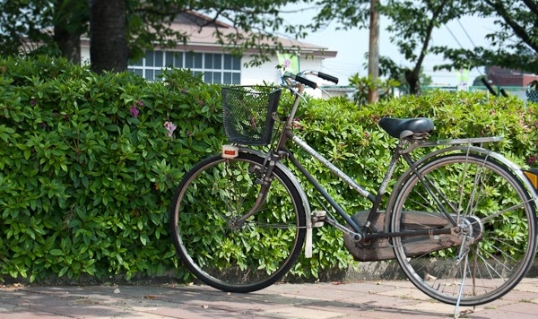 Japonya’da Alkollü Bisiklet Süren Öğretmen Görevden Alındı