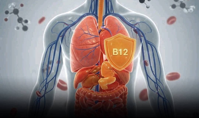 Vitamin B12 Eksikliği: Yorgunluk, Unutkanlık ve Depresyonun Gizli Sebebi Olabilir