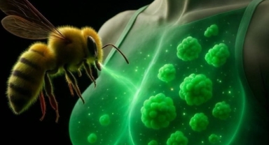 Arı Zehri, Agresif Meme Kanseri Hücrelerini 60 Dakikada Yok Etti!