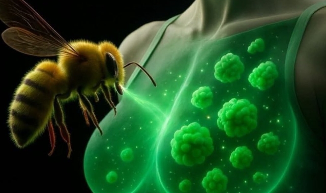 Arı Zehri, Agresif Meme Kanseri Hücrelerini 60 Dakikada Yok Etti!