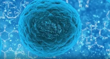 Bilim İnsanları, Hücre İçindeki RNA Davranışlarını Aydınlatan Yeni Bir Hesaplamalı Araç Geliştirdi