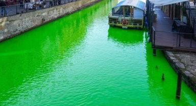 Greta Thunberg Venedik'te Gözaltına Alındı: Büyük Kanal'ı Yeşile Boyayarak COP30'u Protesto Etti