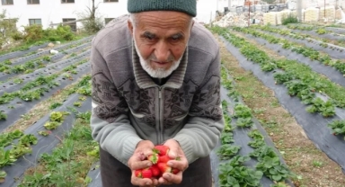 İbrahim Dede'nin 30 Yıllık Hayır Hizmeti: Bahçesindeki Nimetleri Ücretsiz Dağıtıyor