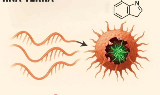 Kanserin 'Ölümsüzlük Kalkanı' TERRA'yı Yok Eden Devrim Niteliğinde İlaç