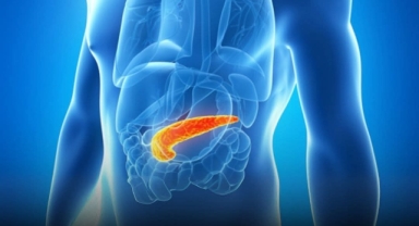 Tarihi Başarı: Tip 1 Diyabetli Hastada Gen Düzenlenmiş Hücrelerle Kendi İnsülini Üretme Başladı