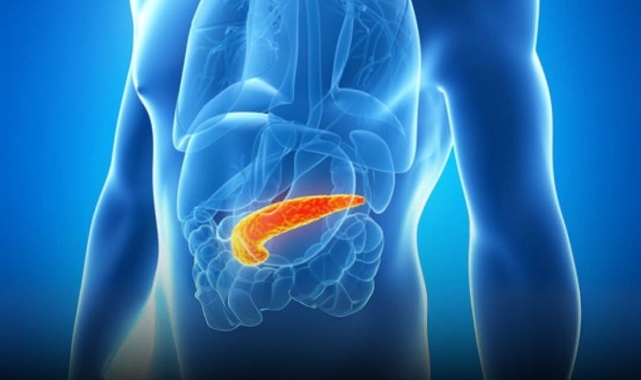 Tarihi Başarı: Tip 1 Diyabetli Hastada Gen Düzenlenmiş Hücrelerle Kendi İnsülini Üretme Başladı