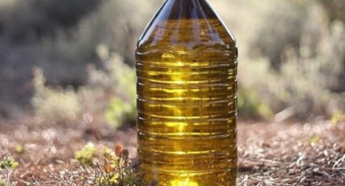 Zeytinyağı Skandalı: 14 Markada Hile Tespit Edildi