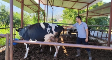 Milas'ta 11 Mahalle 30 Günlük Karantinaya Alındı: Hayvan Giriş-Çıkışı Yasaklandı
